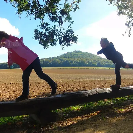 Lejlighed Am Stadtpark Görlitz